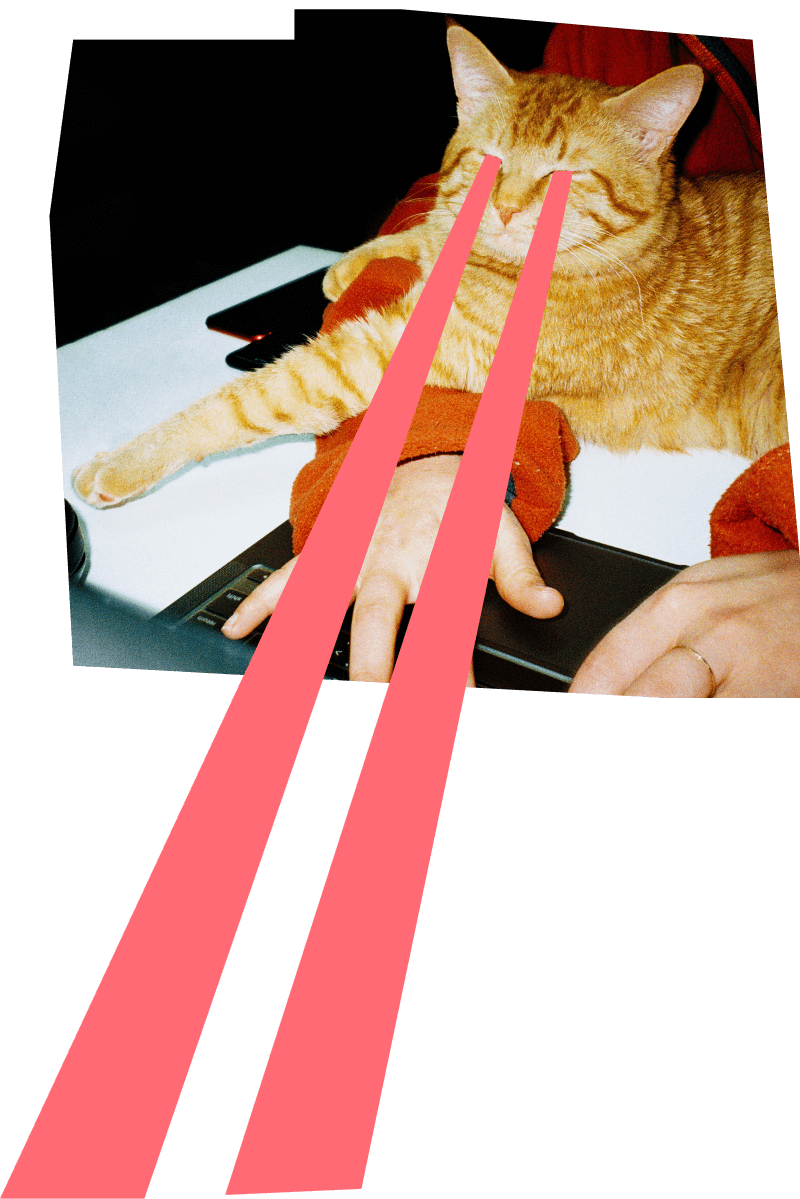 Alle FirefoxProdukte schützen zuallererst deine Privatsphäre onlineMozilla