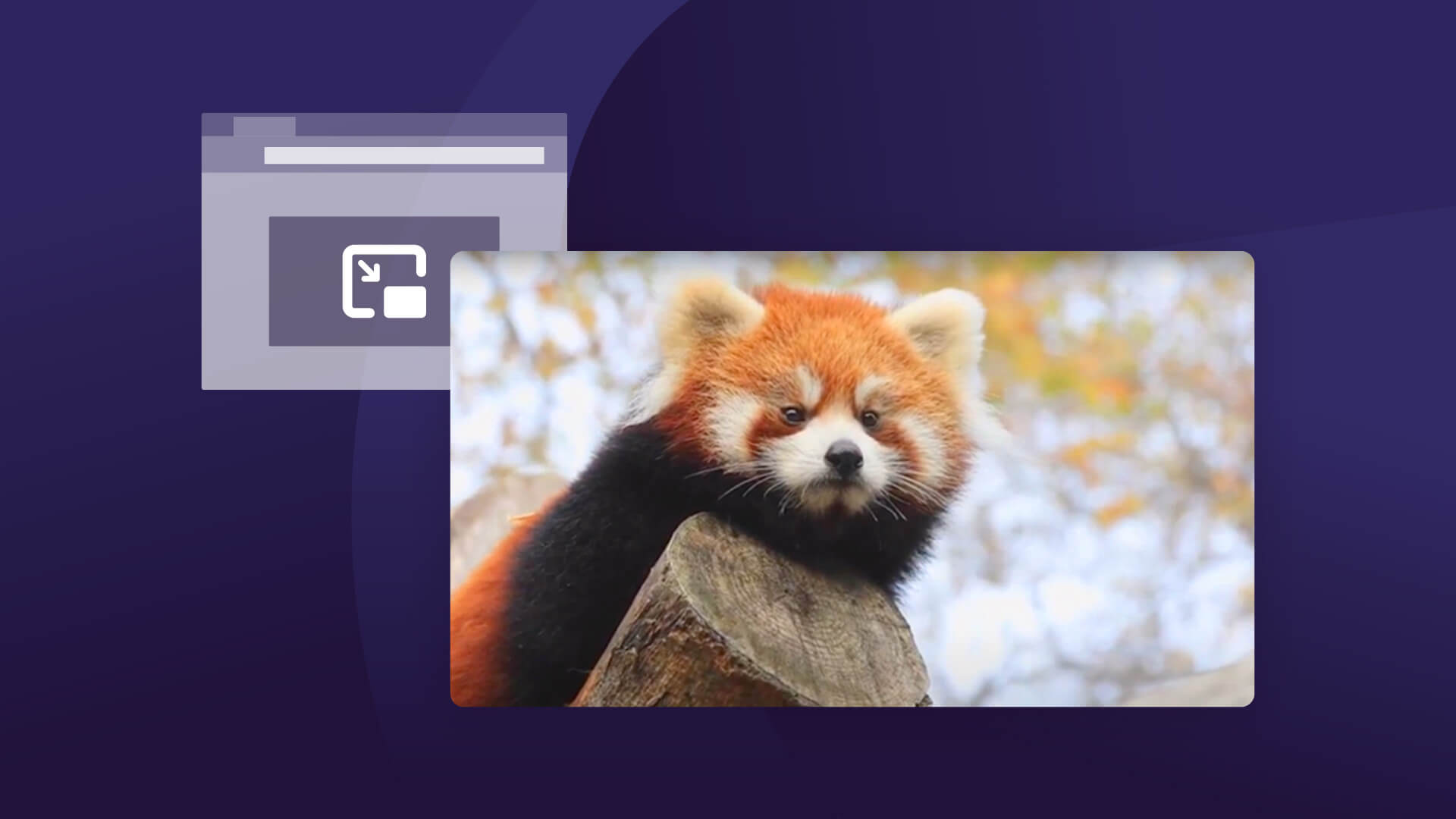 Firefox Picture In Picture Get More Done With Pop Out Videos