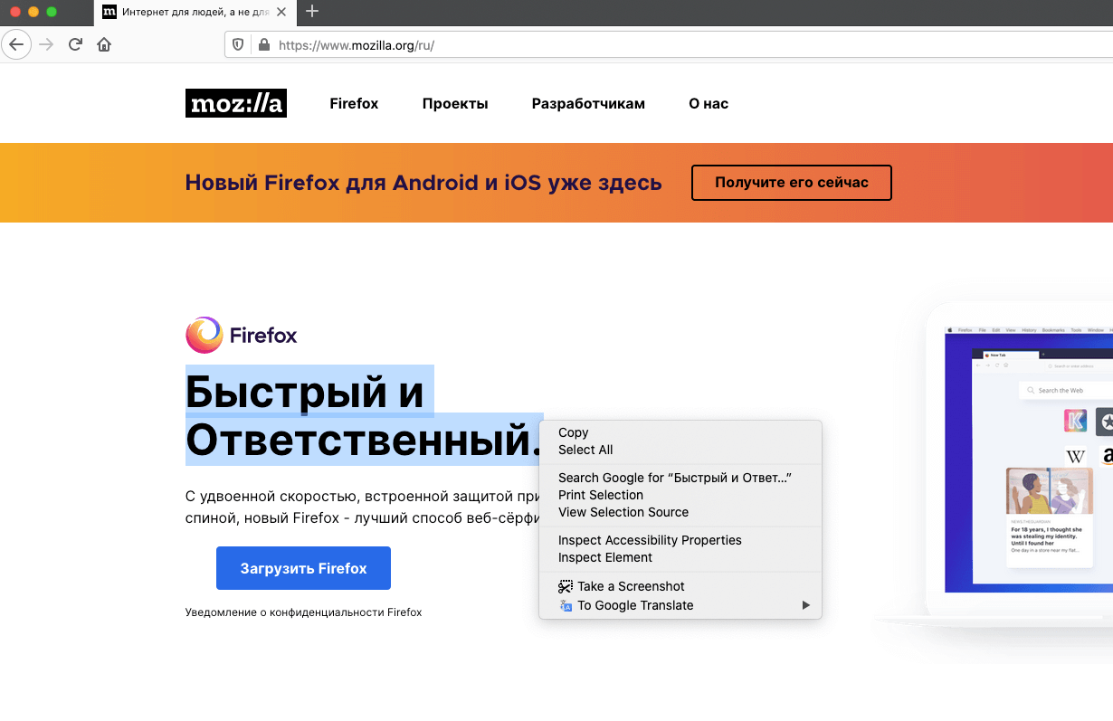 translate the web directly in your