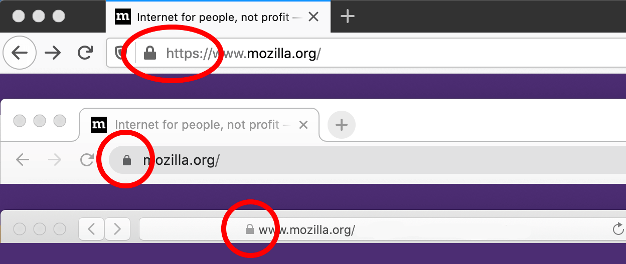 In tutti i principali browser viene visualizzata l’icona di un lucchetto chiuso appena prima dell’indirizzo del sito web nella barra degli indirizzi.