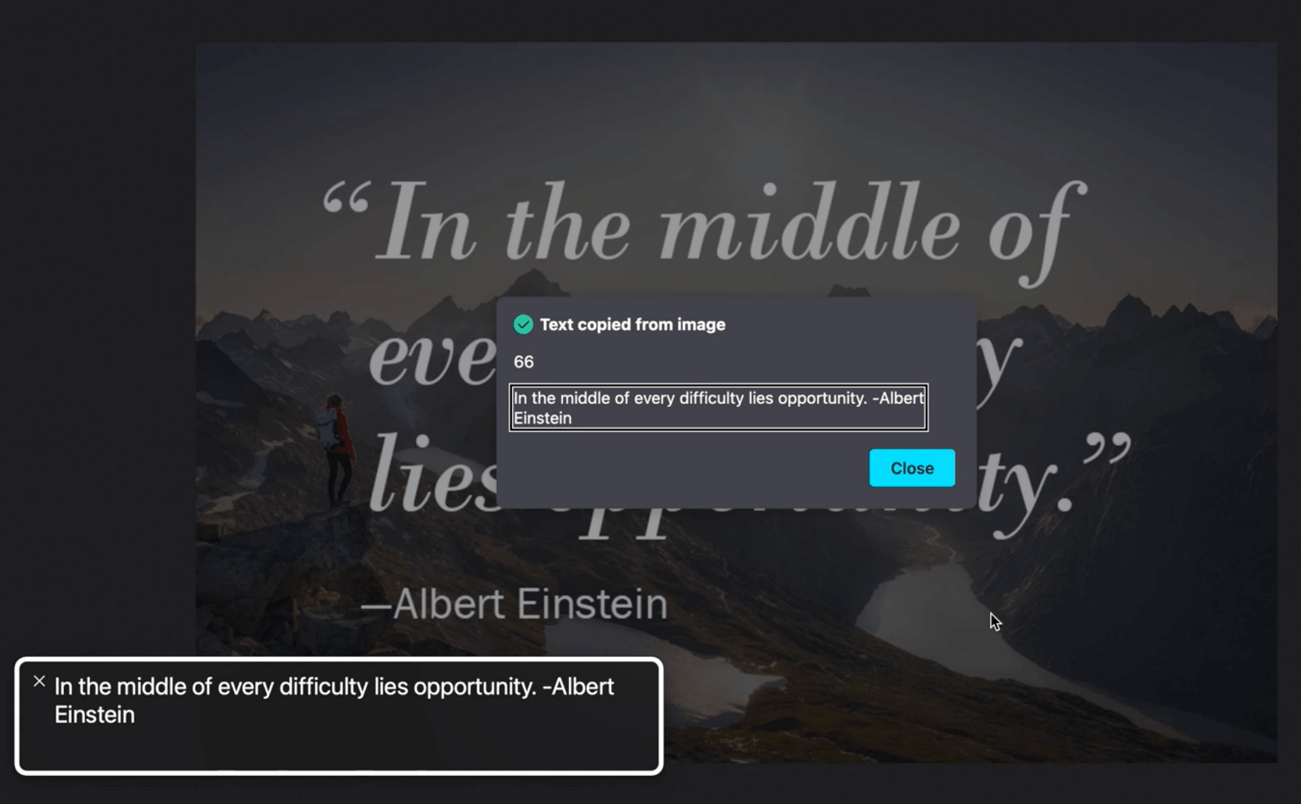 Text Regcognition feature on macOS screenshot