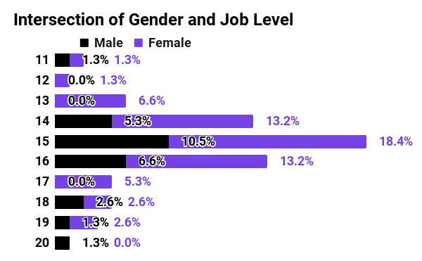 Graph showing intersection of gender and job level in 2021 for Mozilla Foundation. For men, 1.3% MF 11, 0% MF 12, 0% MF 13, 5.3% MF 14, 10.5% MF 15, 6.6% MF 16, 0% MF 17, 2.6% MF 18, 1.3% MF 19, 1.3% MF 20. For women, 1.3% MF 11, 1.3% MF 12, 6.6% MF 13, 13.2% MF 14, 18.4% MF 15, 13.2% MF 16, 5.3% MF 17, 2.6% MF 18, 2.6% MF 19, 0% MF 20.