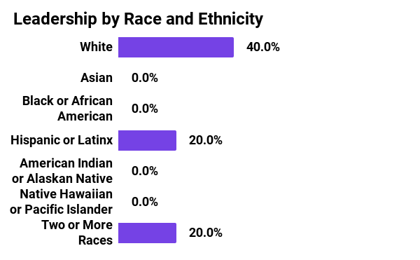 Graph showing leadership by race and ethnicity in 2021 for Mozilla Foundation. 40% White, 0% Asian, 0% Black or African American, 20% Hispanic or Latinx, 0% American Indian or Alaskan Native, 0% Native Hawaiian or Pacific Islander, 20% two or more races.